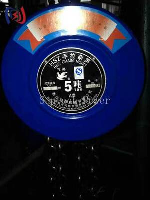ইলেকট্রিক্যাল নির্মাণে ভারী লোড তোলার জন্য পেশাদার ম্যানুয়াল চেইন হোইস্ট, ৫-২০০KN রেট করা লোড সহ