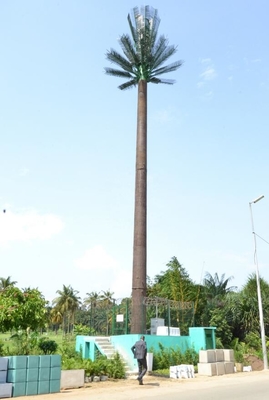 টেলিযোগাযোগের জন্য হট ডিপ গ্যালভানাইজড কৃত্রিম গাছ অ্যান্টেনা ইস্পাত টাওয়ার