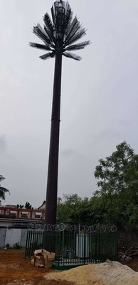 ছদ্মবেশী যোগাযোগ পাইন পাম ট্রি টাওয়ার 0m - 80m উচ্চতা