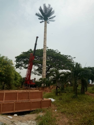 পাম ট্রি স্টিল মনোপোল টাওয়ার ছদ্মবেশী হট ডিপ গ্যালভানাইজড