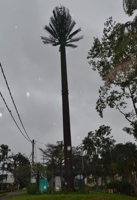 টেলিকমিউনিকেশনের জন্য পাইন ট্রি মোবাইল টিউবুলার অ্যান্টেনা টাওয়ার